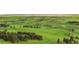 Overhead shot showcasing rolling green hills, interspersed with trees, revealing the vast expanse of the property at 1752 Private Road 130, Elizabeth, CO 80107