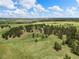 Lush green landscape with trees and a small building nestled amongst them, topped by a bright blue sky at 1752 Private Road 130, Elizabeth, CO 80107