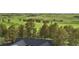 A home with a gray roof, surrounded by lush greenery and mature trees, with a bright blue sky above at 1752 Private Road 130, Elizabeth, CO 80107