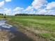 Scenic view of a lush green meadow with a clear stream reflecting the sky, surrounded by trees at 1752 Private Road 130, Elizabeth, CO 80107