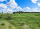 Expansive green field dotted with trees under a bright, cloud-filled sky, showcasing the property's natural beauty at 1752 Private Road 130, Elizabeth, CO 80107