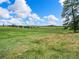 Open land with long grass and scattered pine trees, perfect for recreation or development at 1752 Private Road 130, Elizabeth, CO 80107
