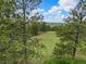 Picturesque view of a grassy field framed by mature pine trees under a partly cloudy sky, with distant homes visible at 1752 Private Road 130, Elizabeth, CO 80107