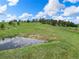 Scenic view of a expansive property with a pond and lush pastures at 1752 Private Road 130, Elizabeth, CO 80107