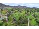Lush green trees surrounding a neighborhood provide a picturesque, serene setting with mountain views at 207 Iowa Dr, Golden, CO 80403