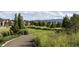 Community walking path with lush green landscaping and mature trees that line the paved walkway at 8628 Hotchkiss St, Littleton, CO 80125