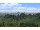 Scenic view capturing the city skyline and rolling green hills at 44 S Holman Way, Golden, CO 80401