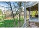 View of a grassy backyard surrounded by mature trees and foliage at 907 Greenridge Ln, Castle Pines, CO 80108