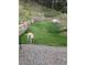 Well-maintained backyard with a dog and fence at 5384 Olde Stage Rd, Boulder, CO 80302
