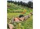 Picturesque backyard with wooden bridge, stone accents, beautiful landscaping, and a view of the treeline at 5384 Olde Stage Rd, Boulder, CO 80302