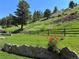 Spacious yard with a stone wall, wooden fence, and mature trees, providing a serene and private outdoor space at 5384 Olde Stage Rd, Boulder, CO 80302