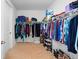 Spacious walk-in closet with built-in shelving and hanging racks for ample storage at 15802 Xanthia Way, Thornton, CO 80602