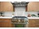 Kitchen detail showcasing stainless steel range, hood and stone backsplash, complimented by wood cabinets at 734 N Downing St, Denver, CO 80218