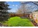 Spacious backyard with green grass, wooden privacy fence, and mature trees at 12705 Home Farm Dr, Westminster, CO 80234