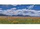 Scenic landscape view with mountains and blue sky over green and gold grasses at 14585 W 91St Ave # D, Arvada, CO 80005
