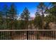 Panoramic forest view from the deck showcasing nature and trees at 28254 Tresine Dr, Evergreen, CO 80439