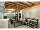 The basement workout area features concrete walls and fitness equipment at 9682 Hemlock Ct, Highlands Ranch, CO 80130