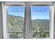 Clear, sunny view of trees and hills through a set of large windows with black frames at 31324 Kings Vly, Conifer, CO 80433