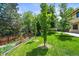 A beautifully landscaped backyard featuring a lawn, mature trees and shrubs at 11072 Zephyr St, Broomfield, CO 80021