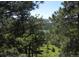 Scenic view of neighborhood homes and community lake at 9189 Fallen Rock Rd, Conifer, CO 80433