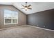 Bedroom featuring a large window, neutral paint, plush carpet, and ceiling fan at 12535 Forest View St, Broomfield, CO 80020