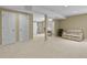 Spacious finished basement with plush carpet and multiple storage closets and rooms at 23426 Briar Leaf Ave, Parker, CO 80138