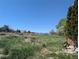 Large, grassy yard with mature trees and bushes at 408 Sylvestor Trl, Highlands Ranch, CO 80129