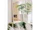 Living room with a view of the fireplace, plants and green chairs reflected in the mirror at 350 Adams St, Denver, CO 80206