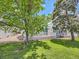 Spacious backyard featuring a well-maintained lawn and an inviting covered deck at 31 Shetland Ct, Highlands Ranch, CO 80130