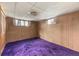 Basement featuring carpet floors and wood-paneled walls, lit by two windows at 8198 E Lehigh Dr, Denver, CO 80237