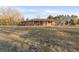 Expansive backyard featuring brick home with covered patio surrounded by mature trees at 103 Red Wing Ct, Mead, CO 80542
