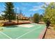 Private outdoor basketball court featuring a well-maintained surface and hoop at 8417 High Ridge Ct, Castle Pines, CO 80108