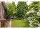 Serene backyard showcasing a well-maintained lawn, white fence, and mature trees, creating a private outdoor oasis at 5137 Mt Arapaho Cir, Frederick, CO 80504
