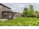 Spacious backyard with a lush lawn, a covered patio, and mature trees, perfect for outdoor living at 11880 W 38Th Pl, Wheat Ridge, CO 80033