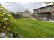 Large backyard with green grass, a trampoline, a patio, and well-maintained landscaping at 11880 W 38Th Pl, Wheat Ridge, CO 80033