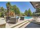 Relaxing poolside patio with comfortable seating, elegant planters, and a modern privacy screen at 9470 S Silent Hills Dr, Lone Tree, CO 80124