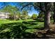 Expansive green common area with mature trees offering plenty of shade and scenic views at 8231 S Fillmore Way, Centennial, CO 80122