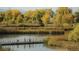 Scenic view of a lake, with a pedestrian bridge and golden autumn foliage at 5562 Anaheim Way, Denver, CO 80239