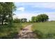 Picturesque walking path surrounded by tall grasses and mature trees, perfect for outdoor enjoyment at 5562 Anaheim Way, Denver, CO 80239