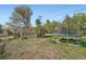Large backyard featuring a chicken coop and a trampoline for endless outdoor fun at 1465 S Urban Way, Lakewood, CO 80228