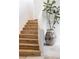 Wooden staircase with a curved plaster wall next to a potted tree on stone floors at 181 Race St, Denver, CO 80206