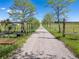 Long, gravel driveway lined with mature trees and rustic fencing leading to the property at 2610 W County Road 4, Berthoud, CO 80513