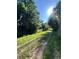 Backyard with trees and plants at 1240 S Flower Cir # A, Lakewood, CO 80232