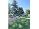 Inviting community park entrance with mature pine trees and a stone Addenbrooke Park sign on a sunny day at 1240 S Flower Cir # A, Lakewood, CO 80232