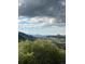 Scenic mountain views from the property showcasing lush greenery and stunning natural beauty at 6980 Fargo Trl, Littleton, CO 80125