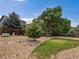 Landscaped backyard featuring decorative rock and a small patch of grass with mature trees at 386 Monte Vista St, Brighton, CO 80601
