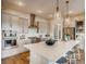 Gourmet kitchen featuring a large island and modern cabinetry at 4616 Girardot Pt, Castle Rock, CO 80104