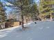 View of a wooden shed on a snow-covered lot surrounded by trees at 9142 Warriors Mark Dr, Franktown, CO 80116