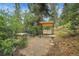 A tranquil backyard patio area, featuring a classic bench, porch swing, and bird bath among mature pine trees at 7790 S Homesteader Dr, Morrison, CO 80465