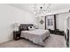 Modern bedroom with contemporary chandelier and bedside lamps. Includes fish tank and lots of natural light at 10546 Sundial Rim Rd, Highlands Ranch, CO 80126